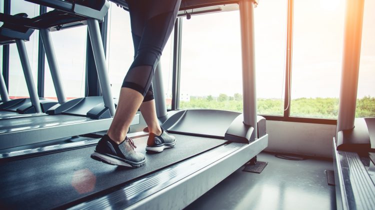 Close up of people who exercising on treadmill. Close-up of woman legs walking by treadmill in sports club. Fitness and Body build up concept. Workout and Strength training concept. Sport club theme.